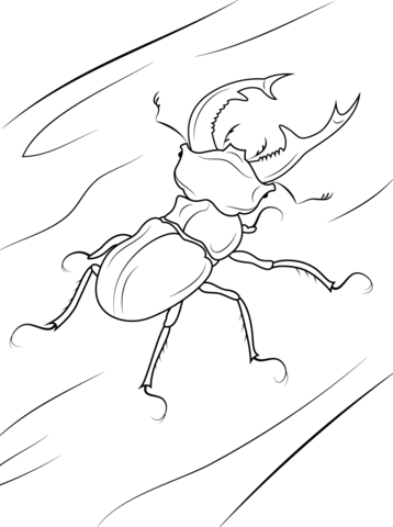 Stag Beetle Coloring page