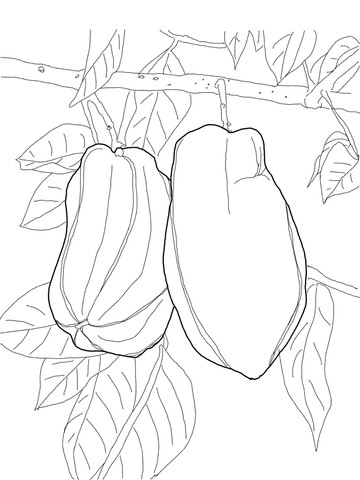 Star Fruit on Tree Coloring page