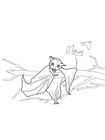 Stellaluna Trying to be a Bird Coloring page