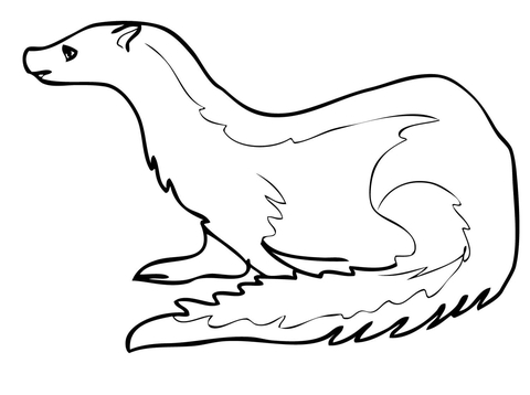 Stoat Coloring page