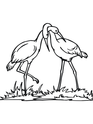 Stork Couple Coloring page