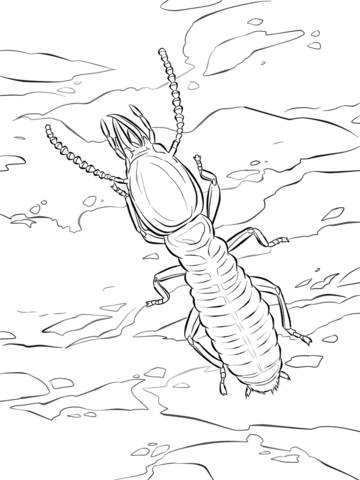 Super Termite Coloring page