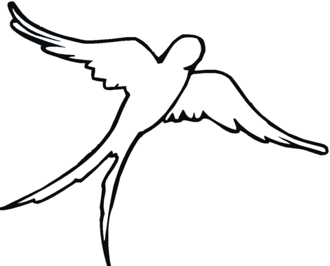 Swallow 10 Coloring page