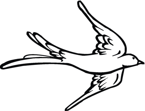 Swallow 11 Coloring page