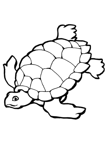 Swimming Sea Turtle Coloring page