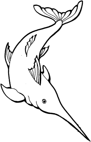 Swordfish 1 Coloring page