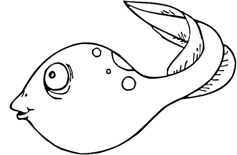 Tadpole  Coloring page