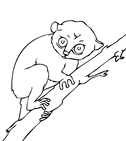 Tarsier Coloring page