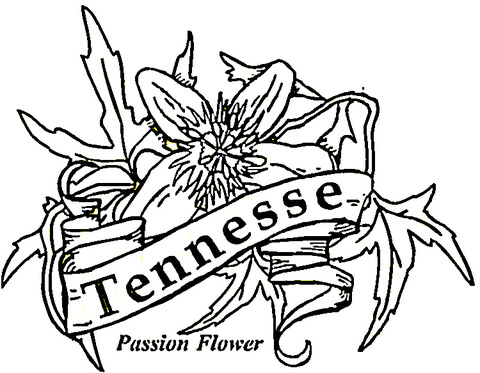 Tennesse  Coloring page
