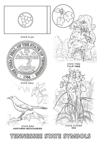 Tennessee State Symbols Coloring page