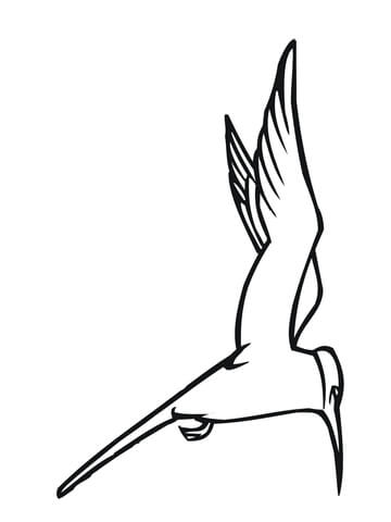 Flying Tern Coloring page