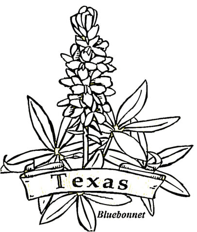 Texas Flowers  Coloring page
