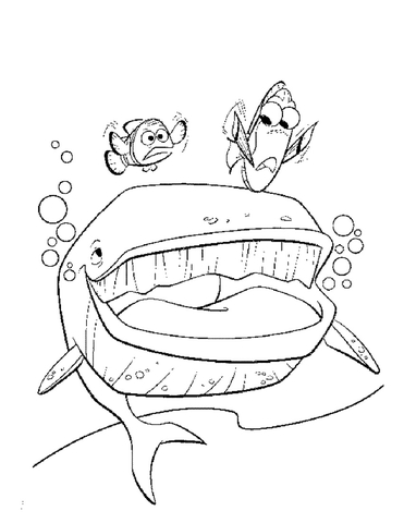 Whale  Coloring page