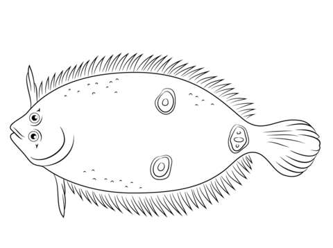 Three Eye Flounder Coloring page