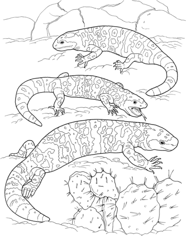 Three Gila Monsters Coloring page