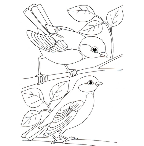 Tit birds Coloring page