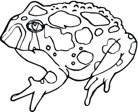 Toad 10 Coloring page