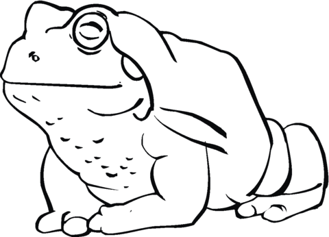 Toad 11 Coloring page