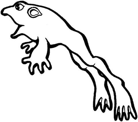 Toad 2 Coloring page