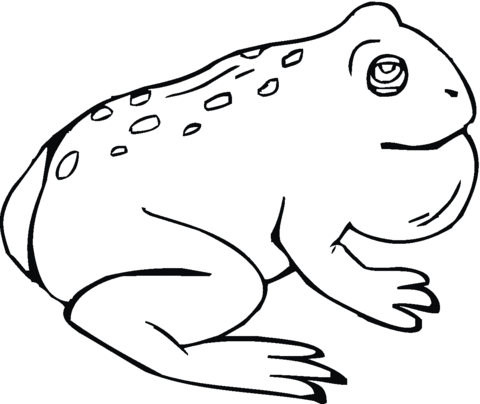 Toad 8 Coloring page
