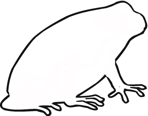 Toad Outline  Coloring page