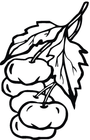 Tomato 11 Coloring page