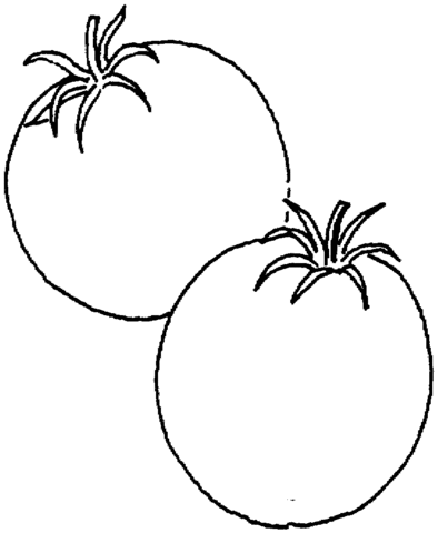 Two Tomatoes Coloring page