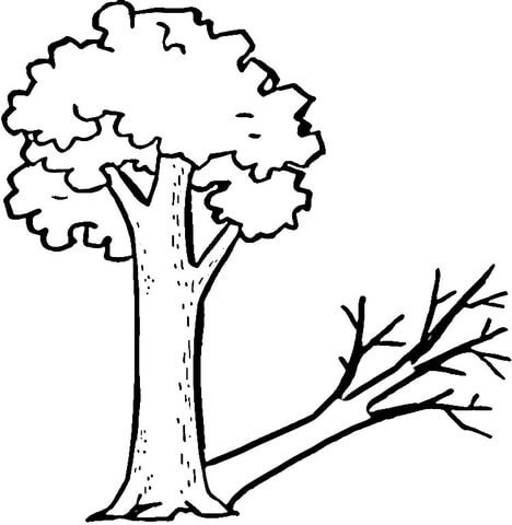 A tree and its strange shadow Coloring page