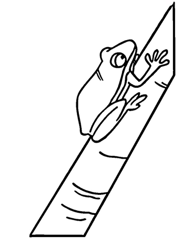 Tree Frog  Coloring page