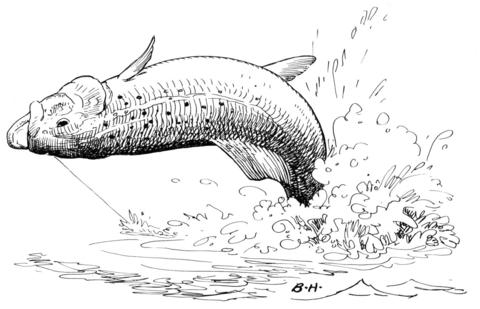 Trout Jump 2 Coloring page