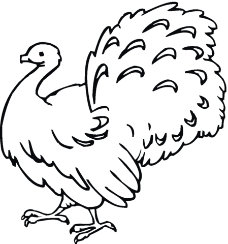 Turkey with tail up Coloring page