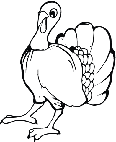 Young Turkey Coloring page
