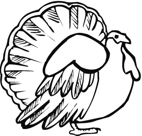 Very Important Turkey Coloring page