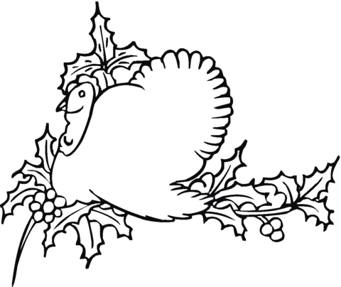 Wild Turkey Nesting Coloring page
