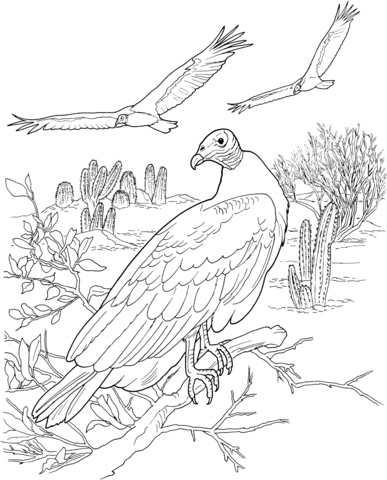 Turkey Vultures in a Desert Coloring page