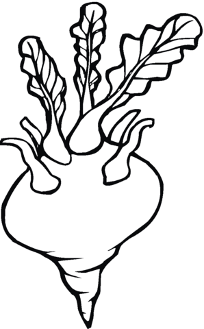 Turnip 10 Coloring page