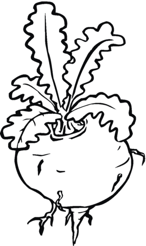 Turnip 13 Coloring page