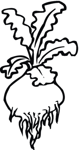 Turnip 4 Coloring page