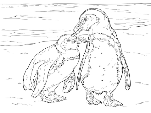Two African Penguins Coloring page