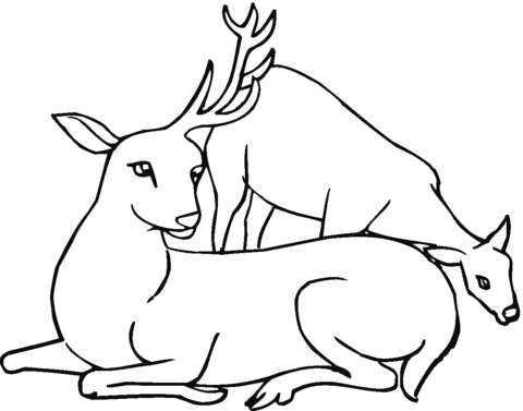 Deer with one antler Coloring page