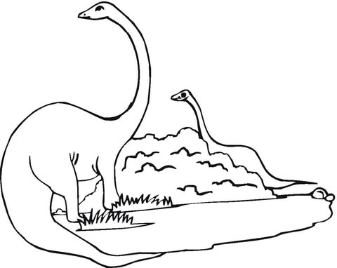 Two Diplodocus  Coloring page