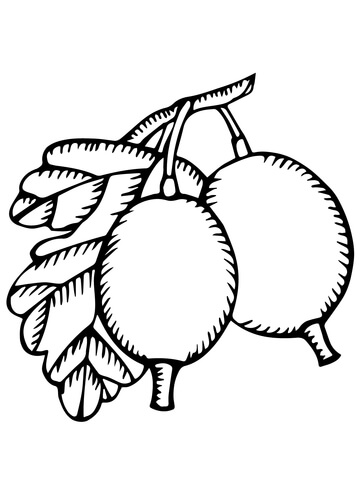 Two Gooseberries Coloring page