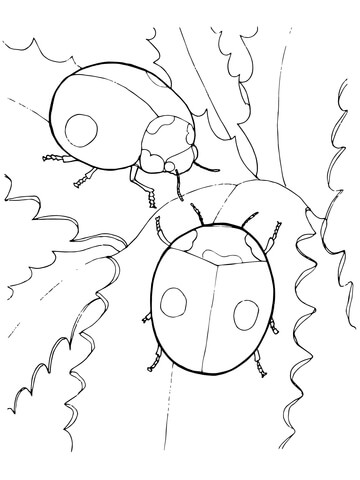 Two Ladybugs Coloring page