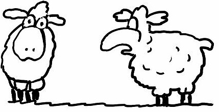Two Sheeps Illustration Coloring page
