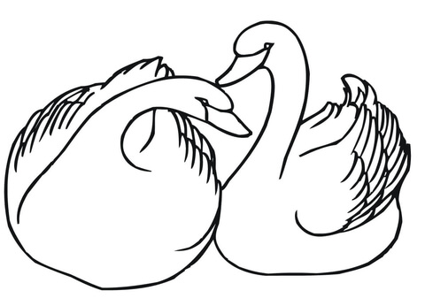 Two Swans Coloring page