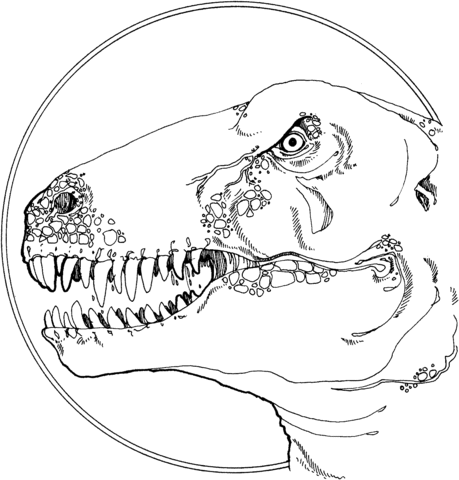 Tyrannosaurus Head Coloring page