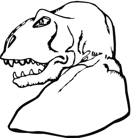 Tyrannosaurus Head 2 Coloring page
