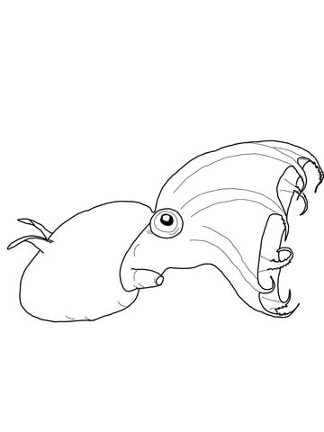 Vampire Squid Coloring page