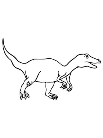 Velociraptor Dromaeosaurid Theropod Dinosaur Coloring page