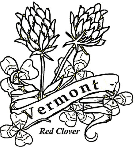 Vermont flowers Coloring page